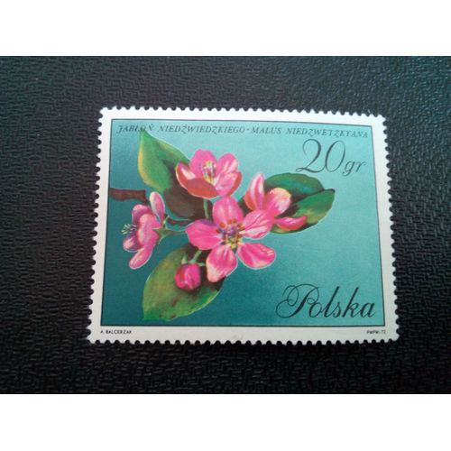 Timbre Pologne   Yt 1980 Malus Niedzwetzkyana 1971 ( 20404 )