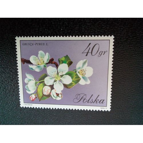 Timbre Pologne   Yt 1981 Pyrus 1971 ( 20404 )