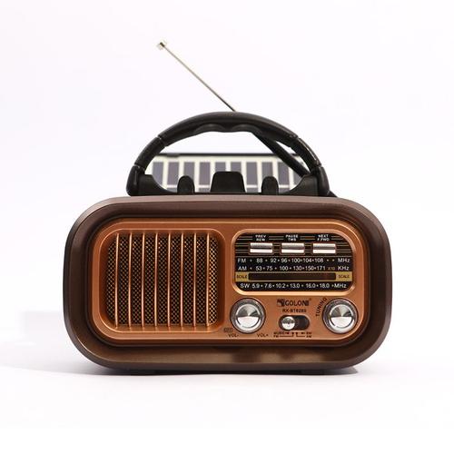 Poste Radio Vintage, AM/FM/SW Rétro Portable, avec Batterie Rechargeable de 1200 mAh ou des Piles D, Panneau Solaire