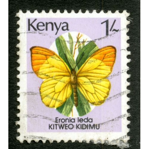 Timbre Oblitéré Kenya, Eronia Leda, Kitweo Kidimu, 1