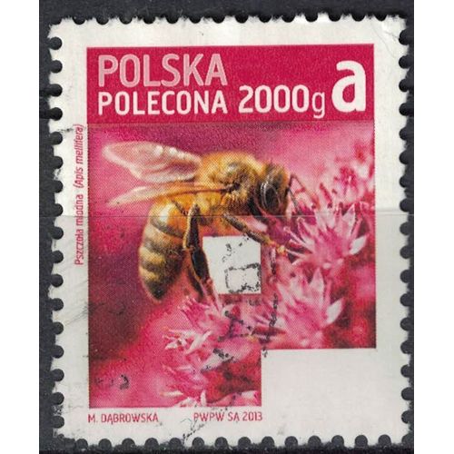 Pologne 2013 Oblitéré Used Insecte Abeille Européenne Apis Mellifera Su