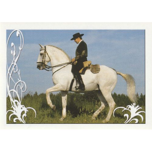 N°9 - Stickers Image Panini Vignette - Un Amour De Cheval
