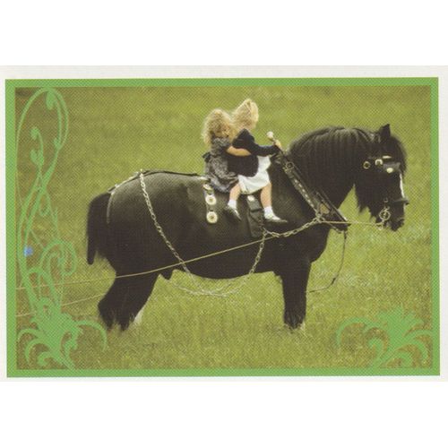 N° 10 - Stickers Image Panini Vignette - Un Amour De Cheval