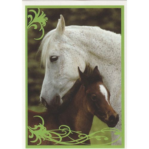 N° 12 - Stickers Image Panini Vignette - Un Amour De Cheval