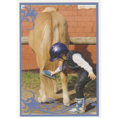 N° 19 - Stickers Image Panini Vignette - Un Amour De Cheval