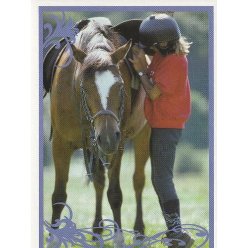 N° 21 - Stickers Image Panini Vignette - Un Amour De Cheval