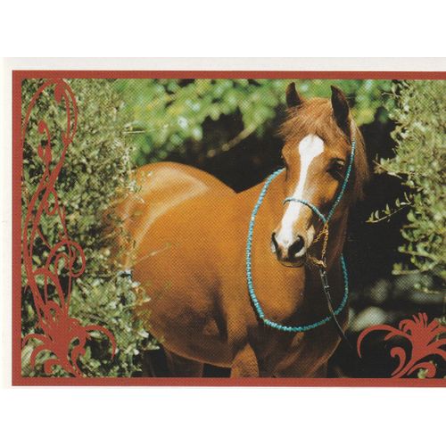 N° 26 - Stickers Image Panini Vignette - Un Amour De Cheval