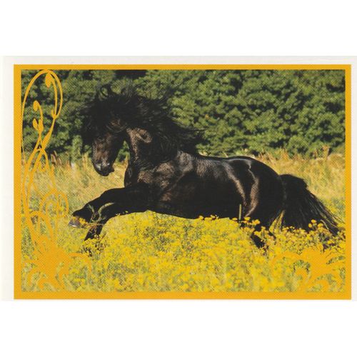 N° 35 - Stickers Image Panini Vignette - Un Amour De Cheval
