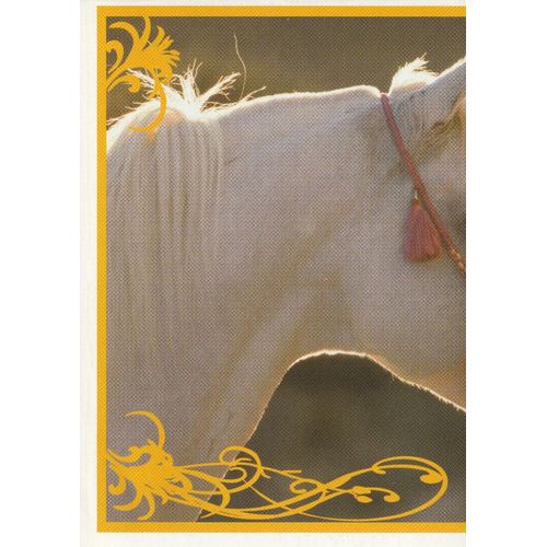 N° 39 - Stickers Image Panini Vignette - Un Amour De Cheval