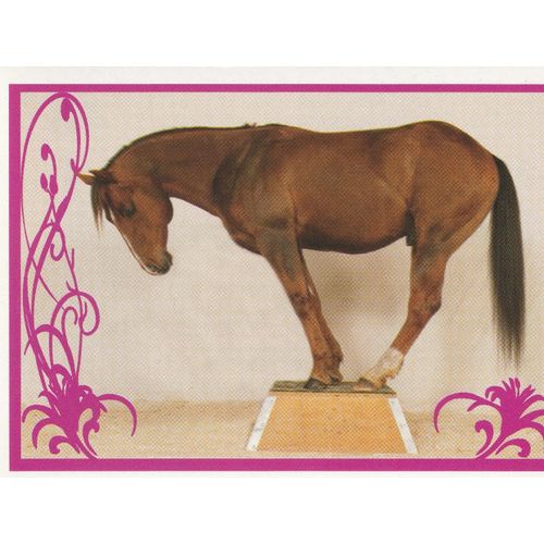 N° 48 - Stickers Image Panini Vignette - Un Amour De Cheval