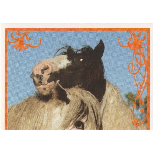 N° 50 - Stickers Image Panini Vignette - Un Amour De Cheval