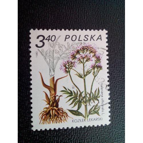 Timbre Pologne Yt 2525 Valeriana Officinalis 1980 ( 60404 )