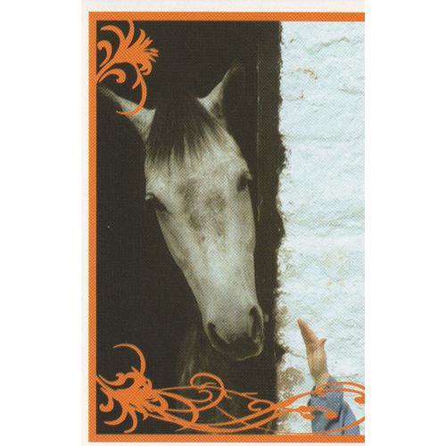 N° 56 - Stickers Image Panini Vignette - Un Amour De Cheval