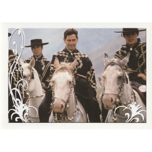 N° 58 - Stickers Image Panini Vignette - Un Amour De Cheval