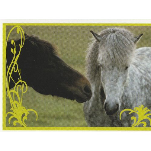 N° 65 - Stickers Image Panini Vignette - Un Amour De Cheval