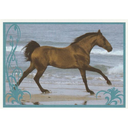 N° 73 - Stickers Image Panini Vignette - Un Amour De Cheval