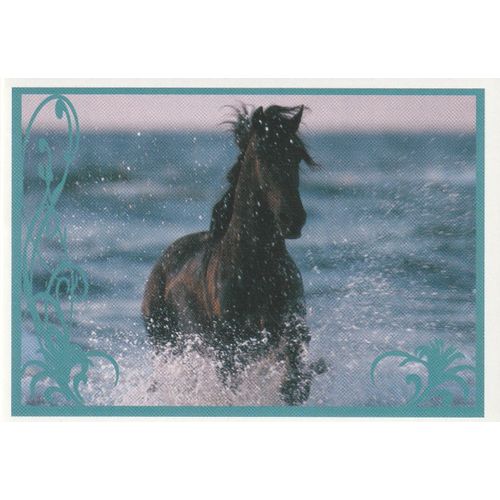 N° 74 - Stickers Image Panini Vignette - Un Amour De Cheval