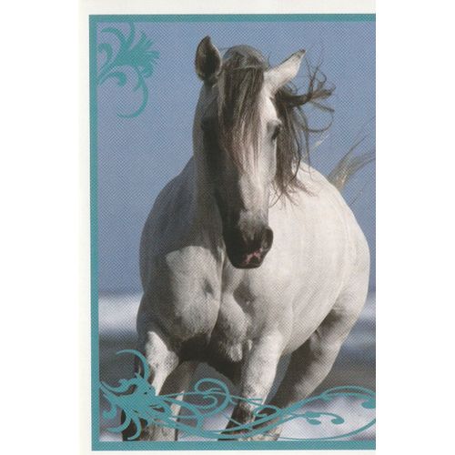N° 75 - Stickers Image Panini Vignette - Un Amour De Cheval