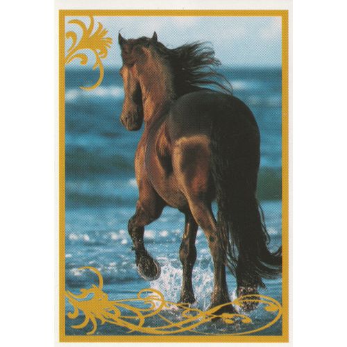 N° 83 - Stickers Image Panini Vignette - Un Amour De Cheval