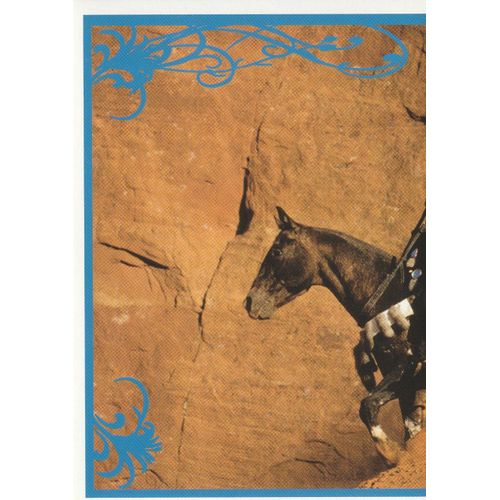 N° 86 - Stickers Image Panini Vignette - Un Amour De Cheval