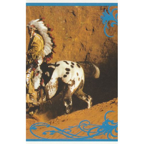 N° 87 - Stickers Image Panini Vignette - Un Amour De Cheval