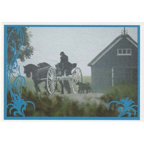 N° 90 - Stickers Image Panini Vignette - Un Amour De Cheval