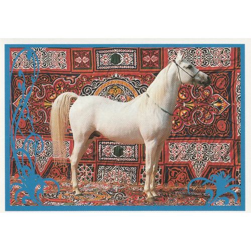 N° 91 - Stickers Image Panini Vignette - Un Amour De Cheval
