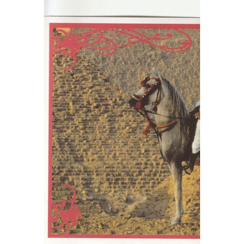 N° 95 - Stickers Image Panini Vignette - Un Amour De Cheval