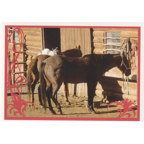 N° 103 - Stickers Image Panini Vignette - Un Amour De Cheval