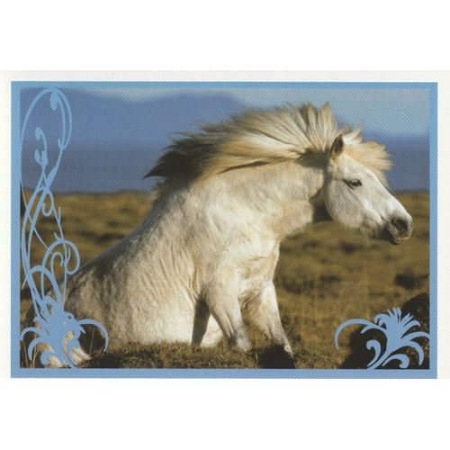 N° 119 - Stickers Image Panini Vignette - Un Amour De Cheval