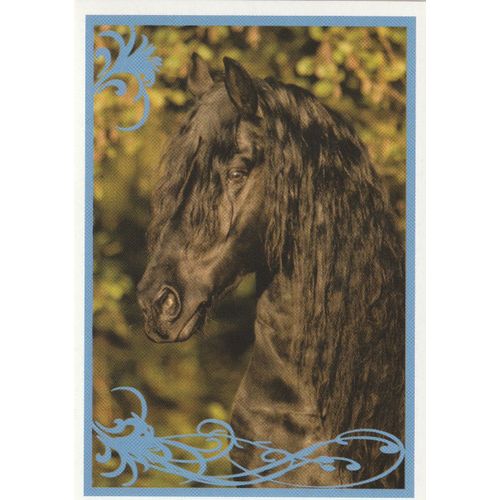 N° 121 - Stickers Image Panini Vignette - Un Amour De Cheval