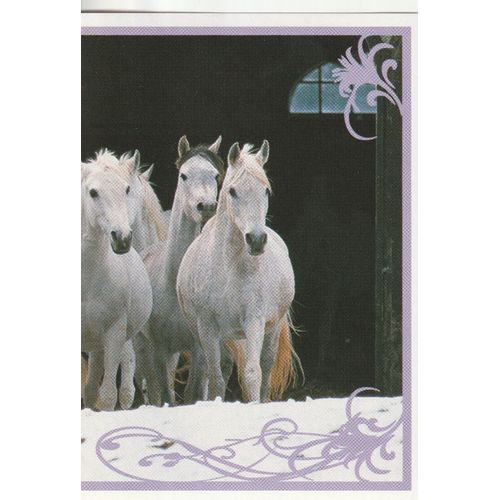 N° 124 - Stickers Image Panini Vignette - Un Amour De Cheval