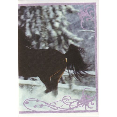N° 128 - Stickers Image Panini Vignette - Un Amour De Cheval