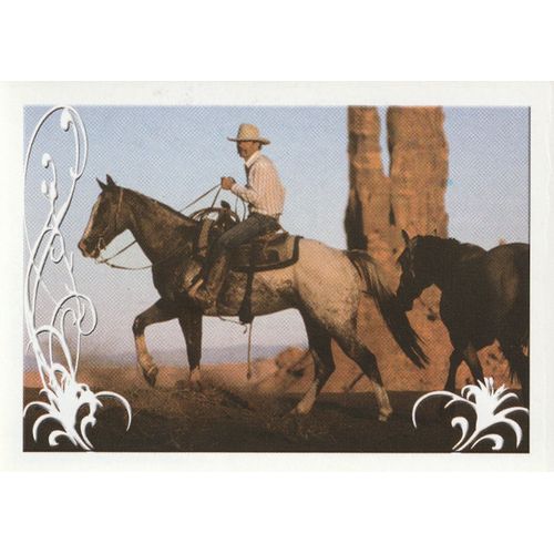 N° 131 - Stickers Image Panini Vignette - Un Amour De Cheval