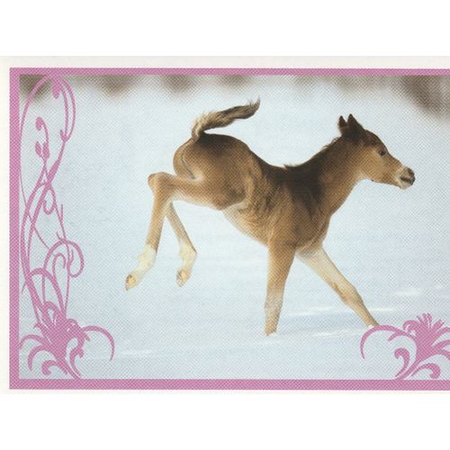 N° 139 - Stickers Image Panini Vignette - Un Amour De Cheval
