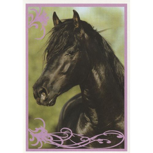 N° 143 - Stickers Image Panini Vignette - Un Amour De Cheval