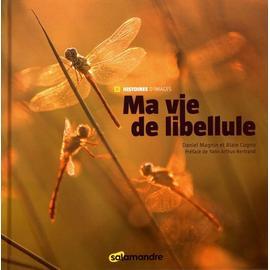 Cycle de vie d/'une Libellule ， Nature Insectes cycles de vie modèle de croissance jeu