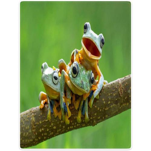 150x200 Cm Couverture Flanelle Douce D¿¿Coration De Canap¿¿ Lit Automne Et Hiver Cute Frogs Art,Vert