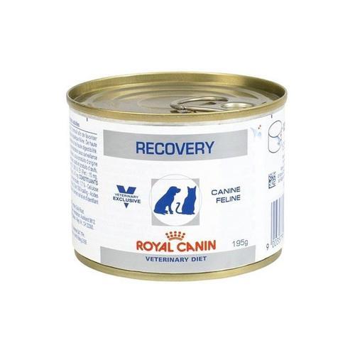 Pâtée Recovery Chien Et Chat 12x195g - Veterinary Diet