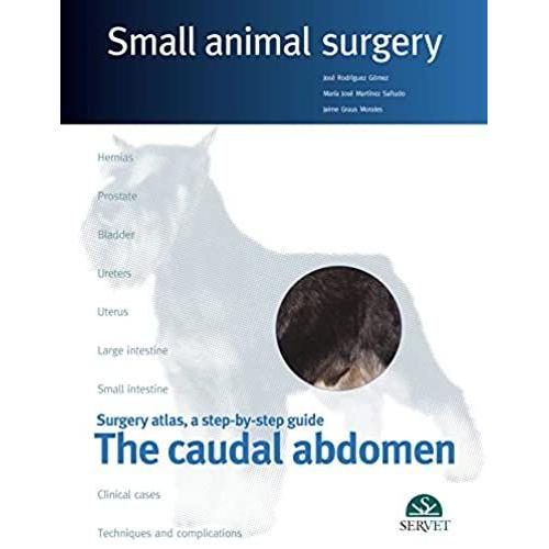The Caudal Abdomen Small Animal Surgery