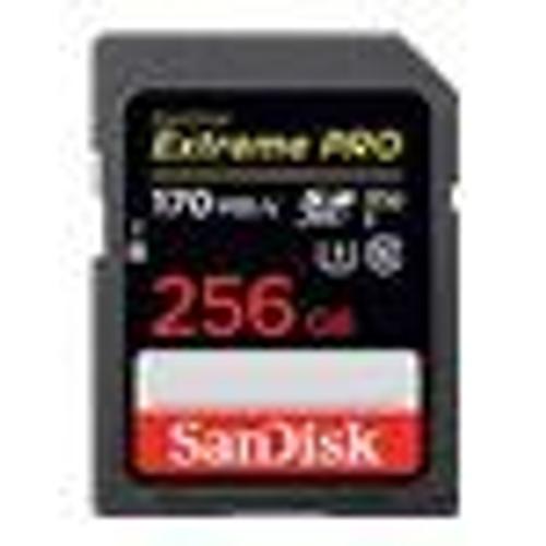 Lot de 2 Carte mémoire micro SDXC Carte SanDisk 128Go Fortnite pour  Nintendo Switch, Carte mémoire sous licence Nintendo - Carte mémoire micro  SD - Achat & prix