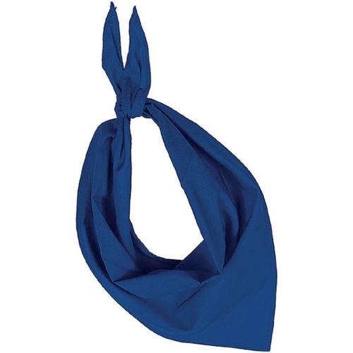 Lot De 10 Bandanas Fiesta - Bleu Roi