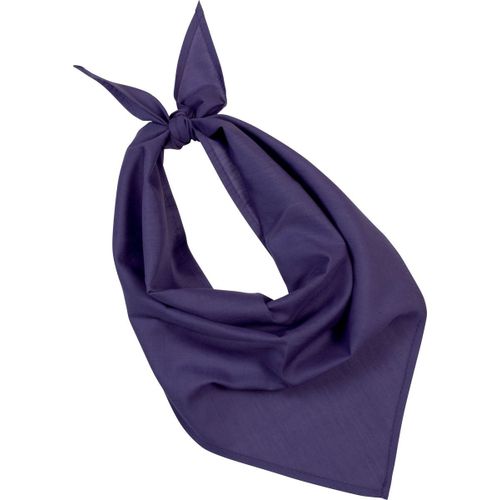 Lot De 10 Bandanas Fiesta - Violet Purple