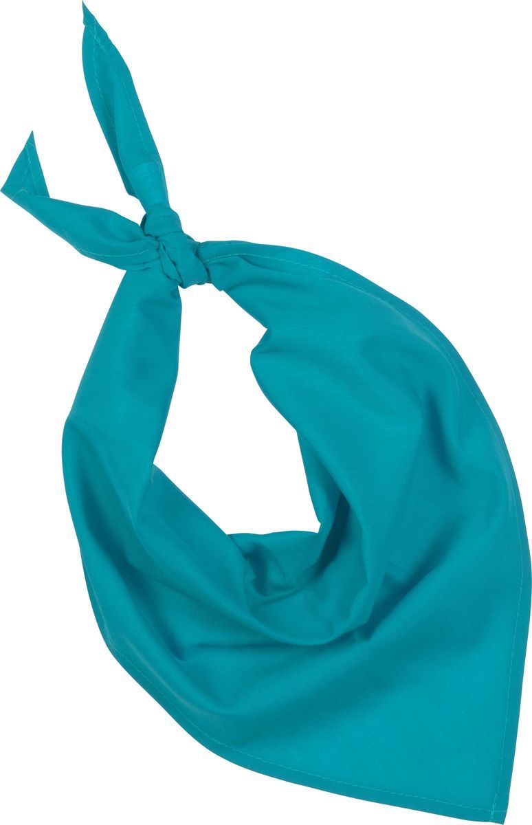 Lot De 10 Bandanas Fiesta - Bleu Turquoise