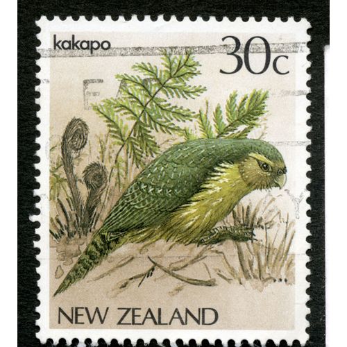 Timbre Oblitéré New Zealand, Kakapo, 30c