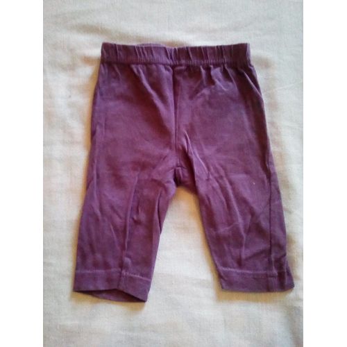 Corsaire Violet 1 Mois