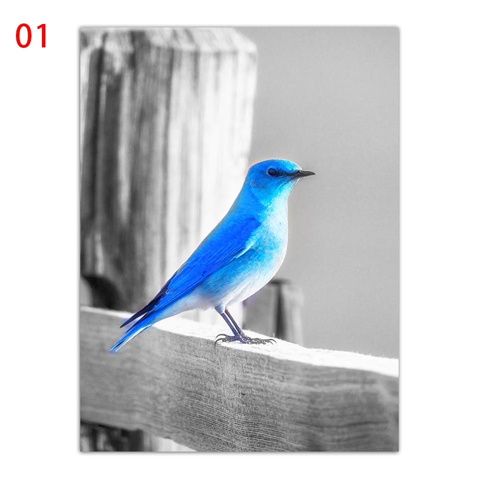 R Style Nordique Bleu Oiseau Oeuf Affiche Eumyias Thalassina Peinture Decor A La Maison Toile Art Imprimer Citations Enfants Chambre Mur Photos Encadrees Rakuten