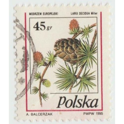 Timbre Modrzew Europejski .Larix Decidua Miller.Polska.45gr.A.Balcerzak.1995.