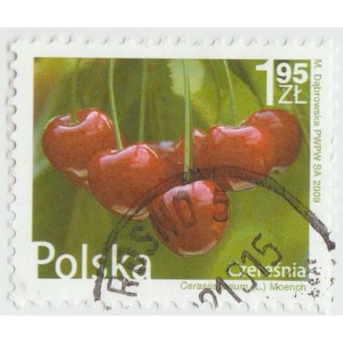 Timbre Czeresnia.Polska.1,95zl.M.Dabrowska.2009.