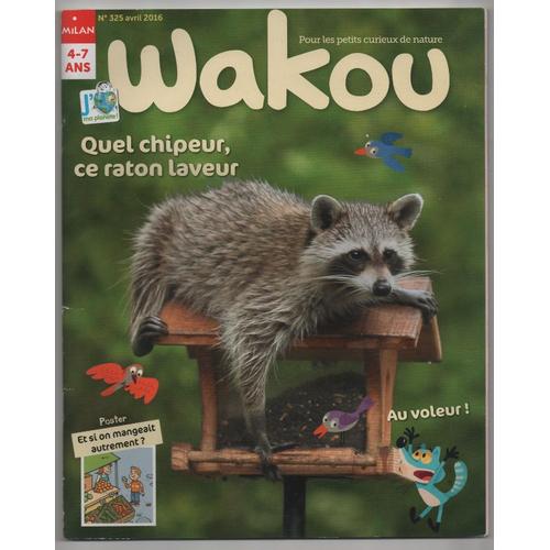 Wakou N°325 - Quel Chipeur Ce Raton Laveur